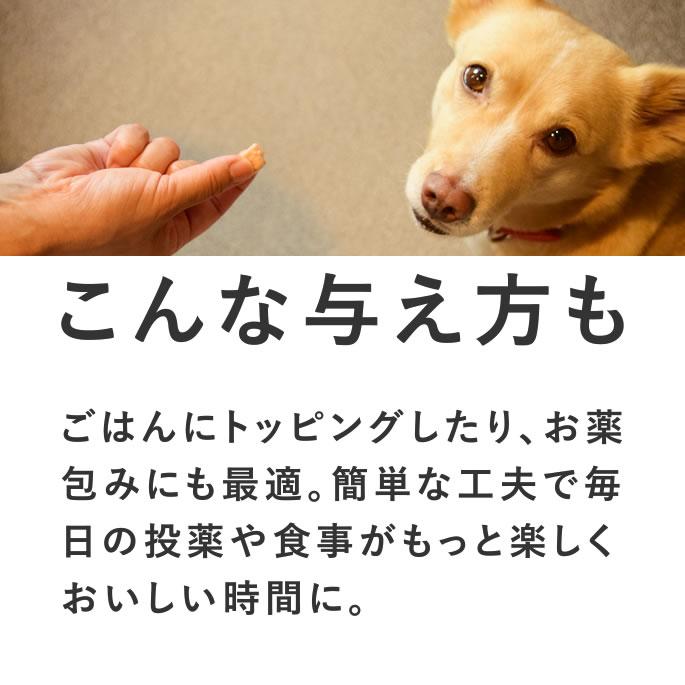 犬 おやつ 猫 ドッグフード ペットフード ウェット ジャーキー 鮭 魚 手作り とっておきのひとくちテリーヌ サーモン 100g×5袋 ハウンドカム食堂 | 帝塚山ハウンドカム | 13