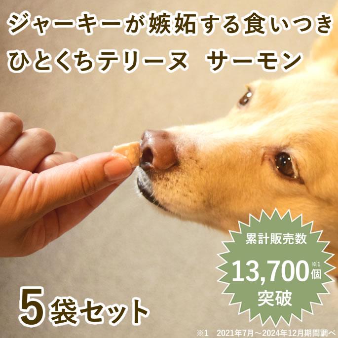 犬 おやつ 猫 ドッグフード ペットフード ウェット ジャーキー 鮭 魚 手作り とっておきのひとくちテリーヌ サーモン 100g×5袋 ハウンドカム食堂 | 帝塚山ハウンドカム | 01
