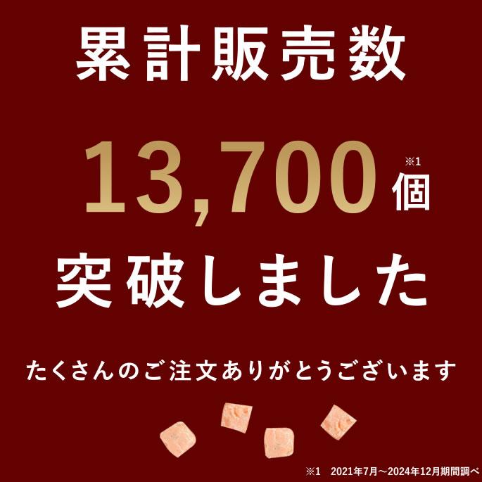 犬 おやつ 猫 ドッグフード ペットフード ウェット ジャーキー 鮭 魚 手作り とっておきのひとくちテリーヌ サーモン 100g×5袋 ハウンドカム食堂 | 帝塚山ハウンドカム | 05