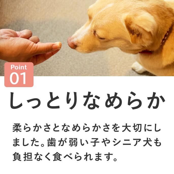 犬 おやつ 猫 ドッグフード ペットフード ウェット ジャーキー 鮭 魚 手作り とっておきのひとくちテリーヌ サーモン 100g×5袋 ハウンドカム食堂 | 帝塚山ハウンドカム | 06