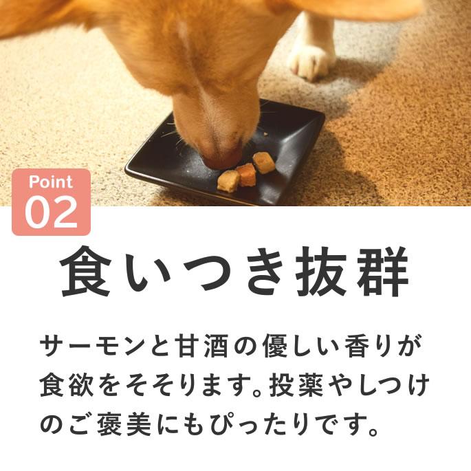 犬 おやつ 猫 ドッグフード ペットフード ウェット ジャーキー 鮭 魚 手作り とっておきのひとくちテリーヌ サーモン 100g×5袋 ハウンドカム食堂 | 帝塚山ハウンドカム | 07