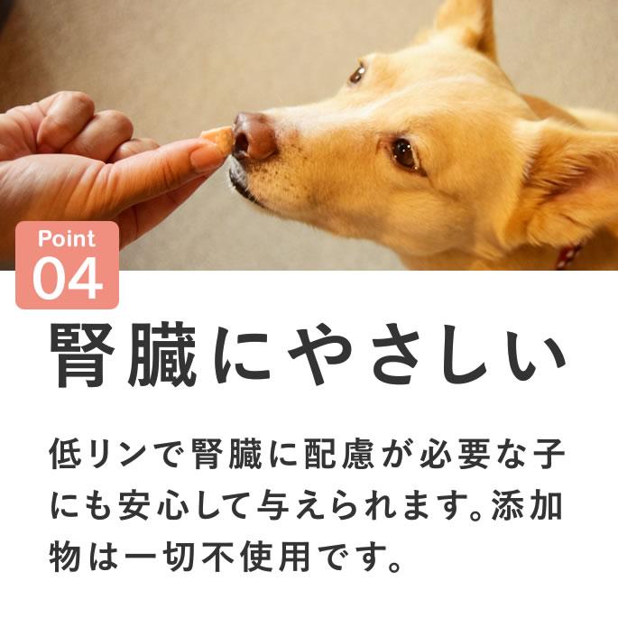 犬 おやつ 猫 ドッグフード ペットフード ウェット ジャーキー 鮭 魚 手作り とっておきのひとくちテリーヌ サーモン 100g×5袋 ハウンドカム食堂 | 帝塚山ハウンドカム | 09