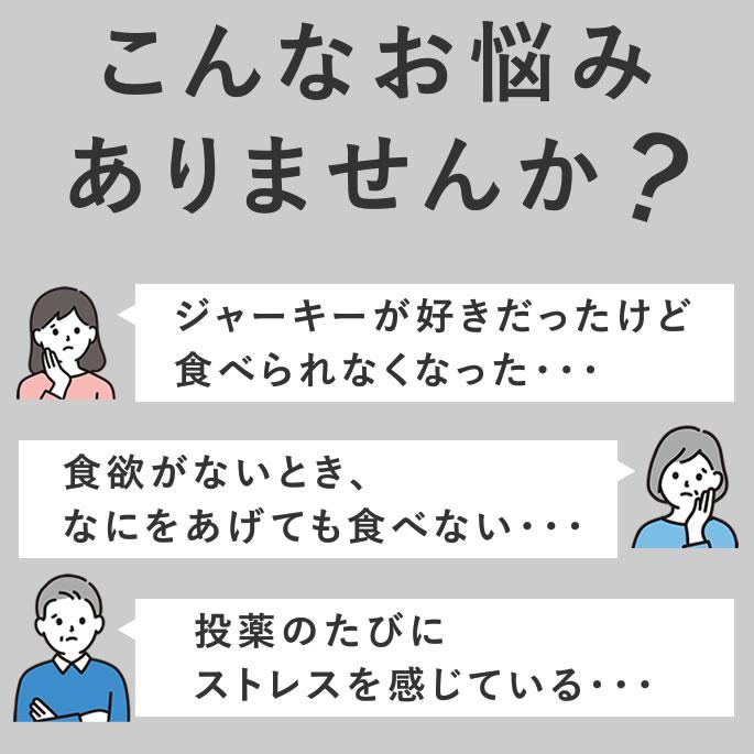 犬 おやつ 猫 ドッグフード ペットフード ウェット ジャーキー 鶏 手作り とっておきのひとくちテリーヌ チキン 100g×5袋 ハウンドカム食堂 | 帝塚山ハウンドカム | 10
