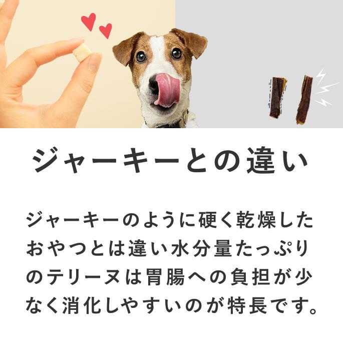 犬 おやつ 猫 ドッグフード ペットフード ウェット ジャーキー 鶏 手作り とっておきのひとくちテリーヌ チキン 100g×5袋 ハウンドカム食堂 | 帝塚山ハウンドカム | 11