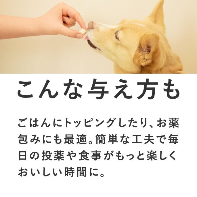 犬 おやつ 猫 ドッグフード ペットフード ウェット ジャーキー 鶏 手作り とっておきのひとくちテリーヌ チキン 100g×5袋 ハウンドカム食堂 | 帝塚山ハウンドカム | 13