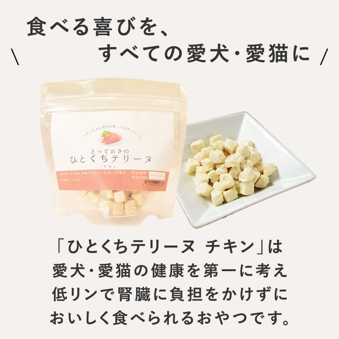 犬 おやつ 猫 ドッグフード ペットフード ウェット ジャーキー 鶏 手作り とっておきのひとくちテリーヌ チキン 100g×5袋 ハウンドカム食堂 | 帝塚山ハウンドカム | 02