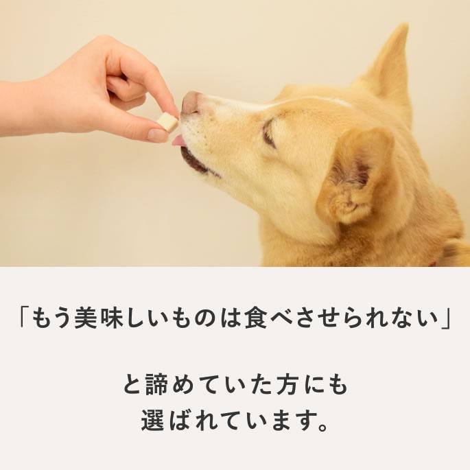 犬 おやつ 猫 ドッグフード ペットフード ウェット ジャーキー 鶏 手作り とっておきのひとくちテリーヌ チキン 100g×5袋 ハウンドカム食堂 | 帝塚山ハウンドカム | 03
