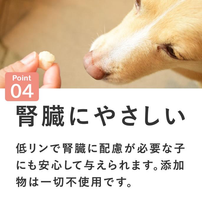 犬 おやつ 猫 ドッグフード ペットフード ウェット ジャーキー 鶏 手作り とっておきのひとくちテリーヌ チキン 100g×5袋 ハウンドカム食堂 | 帝塚山ハウンドカム | 09