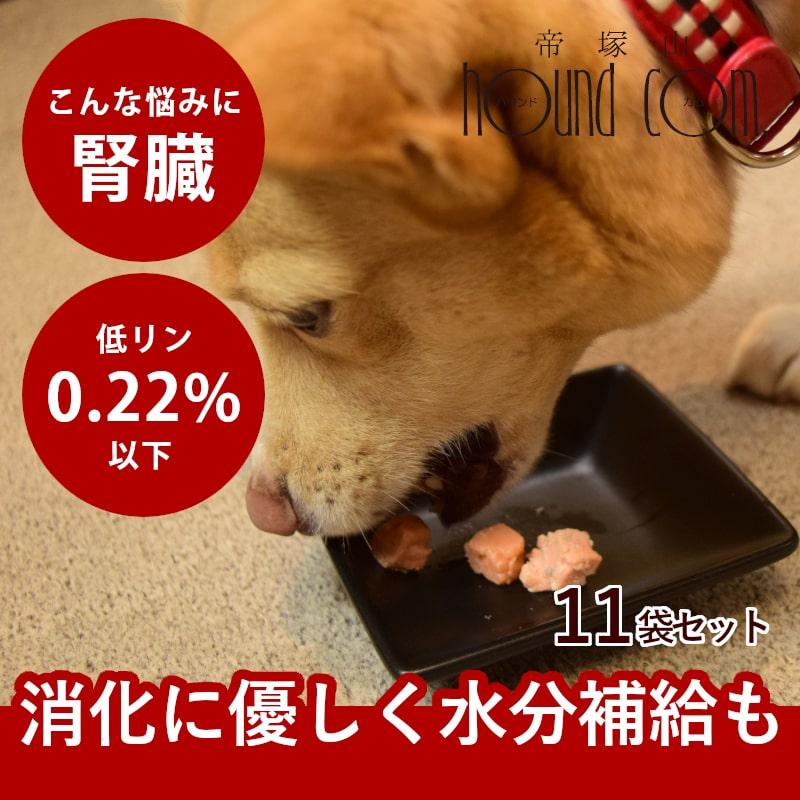 犬 おやつ 猫 ドッグフード ウェット ジャーキー 鮭 魚 手作り とっておきのひとくちテリーヌ サーモン 100g 10袋＋1袋 ハウンドカム食堂 | 帝塚山ハウンドカム