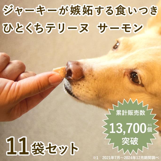 犬 おやつ 猫 ドッグフード ウェット ジャーキー 鮭 魚 手作り とっておきのひとくちテリーヌ サーモン 100g 10袋＋1袋 ハウンドカム食堂 | 帝塚山ハウンドカム | 01