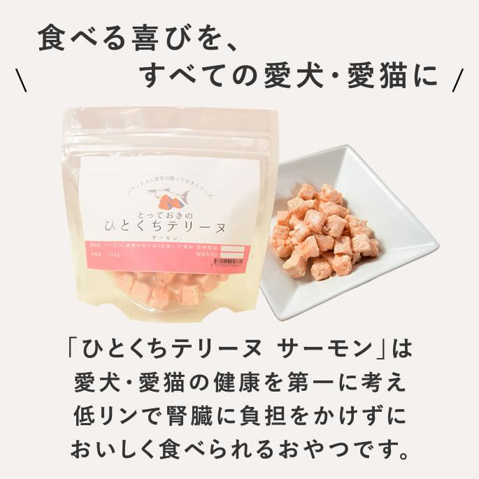 犬 おやつ 猫 ドッグフード ウェット ジャーキー 鮭 魚 手作り とっておきのひとくちテリーヌ サーモン 100g 10袋＋1袋 ハウンドカム食堂 | 帝塚山ハウンドカム | 02