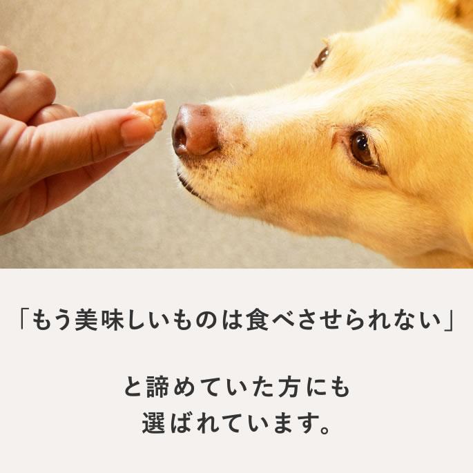 犬 おやつ 猫 ドッグフード ウェット ジャーキー 鮭 魚 手作り とっておきのひとくちテリーヌ サーモン 100g 10袋＋1袋 ハウンドカム食堂 | 帝塚山ハウンドカム | 03
