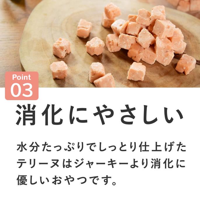 犬 おやつ 猫 ドッグフード ウェット ジャーキー 鮭 魚 手作り とっておきのひとくちテリーヌ サーモン 100g 10袋＋1袋 ハウンドカム食堂 | 帝塚山ハウンドカム | 08