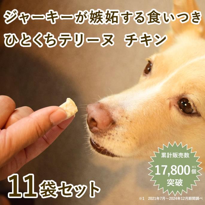 犬 おやつ 猫 ドッグフード ペットフード ウェット ジャーキー 鶏 手作り とっておきのひとくちテリーヌ チキン 100g 10袋＋1袋セット ハウンドカム食堂 | 帝塚山ハウンドカム | 01