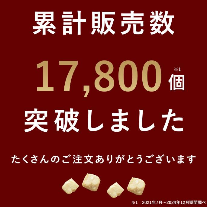 犬 おやつ 猫 ドッグフード ペットフード ウェット ジャーキー 鶏 手作り とっておきのひとくちテリーヌ チキン 100g 10袋＋1袋セット ハウンドカム食堂 | 帝塚山ハウンドカム | 05