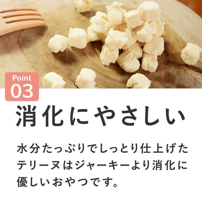 犬 おやつ 猫 ドッグフード ペットフード ウェット ジャーキー 鶏 手作り とっておきのひとくちテリーヌ チキン 100g 10袋＋1袋セット ハウンドカム食堂 | 帝塚山ハウンドカム | 08