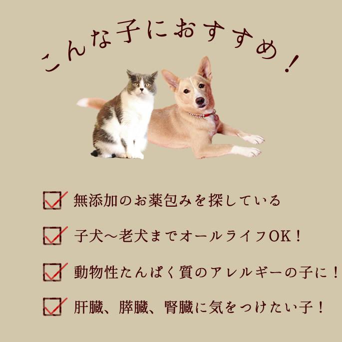 犬 おやつ ドッグフード 低リン 腎 臓にやさしい ウェット さつまいも 芋 手作り ぽてキューブ5袋セット 100g ハウンドカム食堂 | 帝塚山ハウンドカム | 11