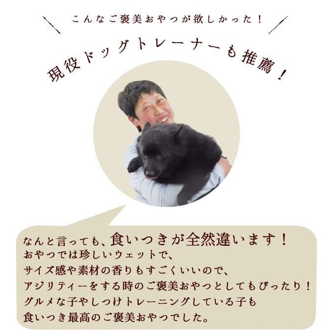 犬 おやつ ドッグフード 低リン 腎 臓にやさしい ウェット さつまいも 芋 手作り ぽてキューブ5袋セット 100g ハウンドカム食堂 | 帝塚山ハウンドカム | 12