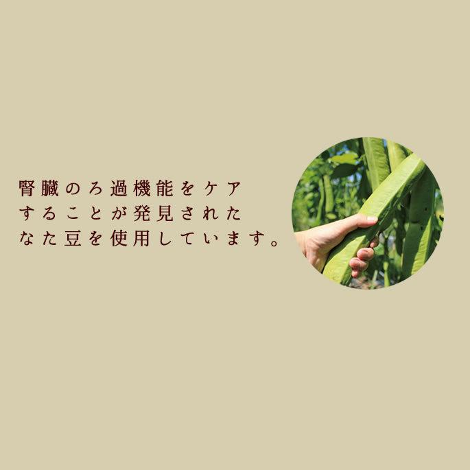 犬 おやつ ドッグフード 低リン 腎臓にやさしい 低脂肪 ウェット さつまいも 芋 手作り ぽてキューブ10＋1袋セット 100g ハウンドカム食堂 | 帝塚山ハウンドカム | 08