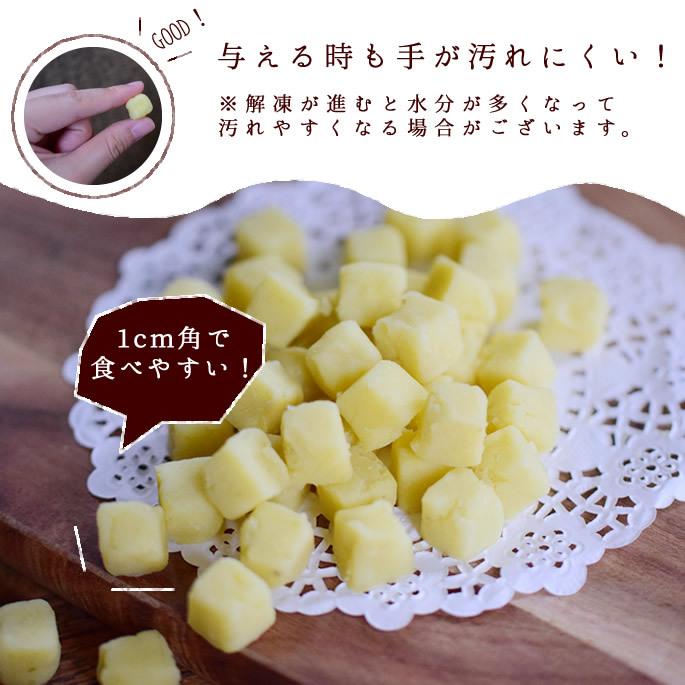 犬 おやつ ドッグフード 低リン 腎臓にやさしい 低脂肪 ウェット さつまいも 芋 手作り ぽてキューブ10＋1袋セット 100g ハウンドカム食堂 | 帝塚山ハウンドカム | 09