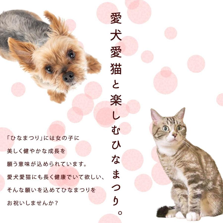 愛犬愛猫用 ひなまつりお祝いセット【冷凍便】【ハウンドカム食堂】 | 帝塚山ハウンドカム | 01