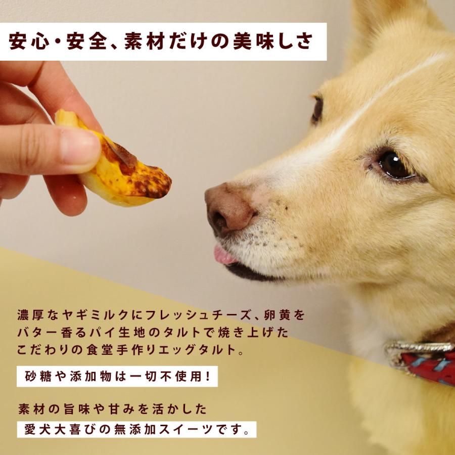 犬 おやつ 犬用スイーツ ドッグフード 誕生日 柔らかい 食堂の手作りスイーツ ヤギミルクのエッグタルト ハウンドカム食堂 冷凍便 | 帝塚山ハウンドカム | 02