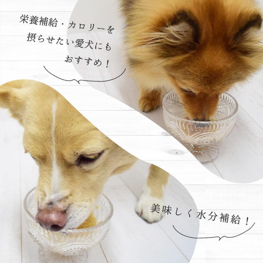夏季限定 愛犬用おやつ 低脂肪 水分補給 シャーベットにも 愛犬とろける しあわせミックスジュース 3本セット ハウンドカム食堂 冷凍便 | 帝塚山ハウンドカム | 02