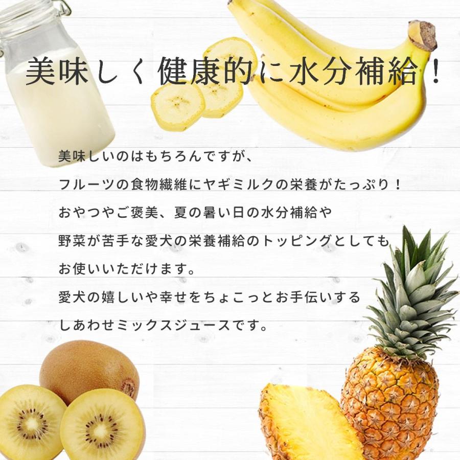 夏季限定 愛犬用おやつ 低脂肪 水分補給 シャーベットにも 愛犬とろける しあわせミックスジュース 3本セット ハウンドカム食堂 冷凍便 | 帝塚山ハウンドカム | 03