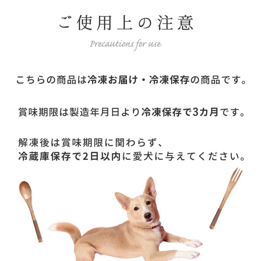 夏季限定 愛犬用おやつ 低脂肪 水分補給 シャーベットにも 愛犬とろける しあわせミックスジュース 3本セット ハウンドカム食堂 冷凍便 | 帝塚山ハウンドカム | 08