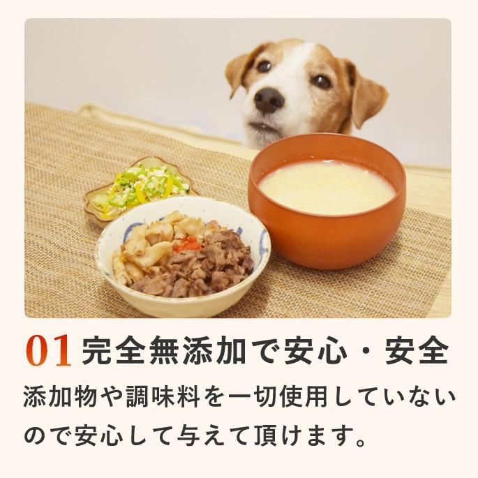 夏季限定 愛犬用手作りごはん 夏も元気に！愛犬スタミナ定食 ハウンドカム食堂 冷凍便 | 帝塚山ハウンドカム | 02
