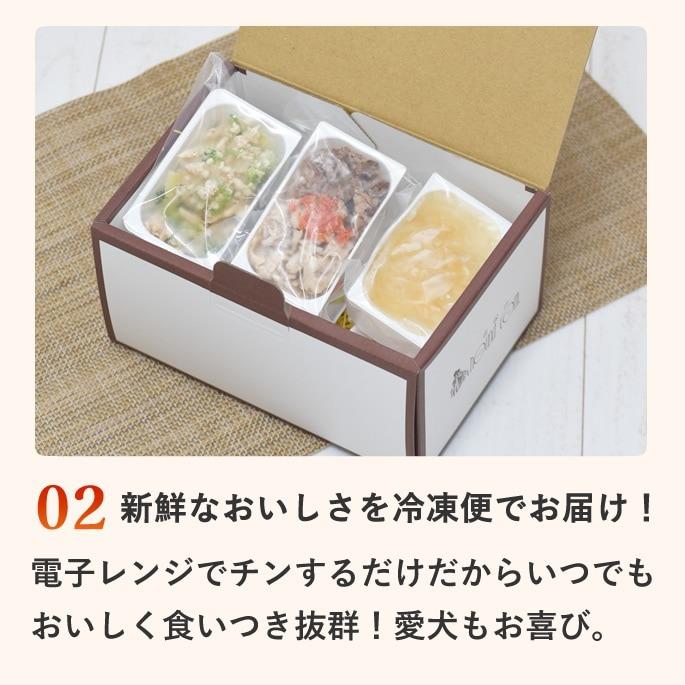 夏季限定 愛犬用手作りごはん 夏も元気に！愛犬スタミナ定食 ハウンドカム食堂 冷凍便 | 帝塚山ハウンドカム | 03