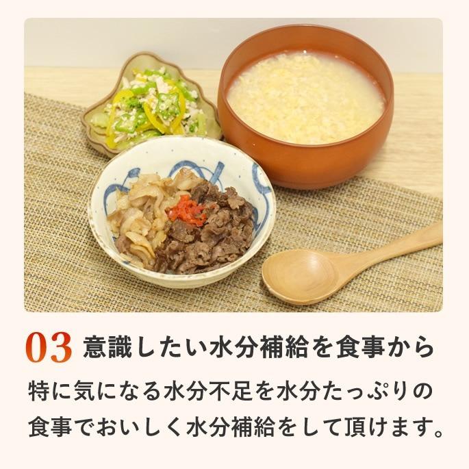 夏季限定 愛犬用手作りごはん 夏も元気に！愛犬スタミナ定食 ハウンドカム食堂 冷凍便 | 帝塚山ハウンドカム | 04