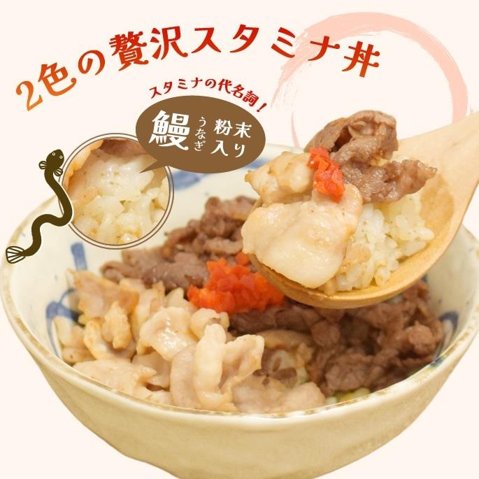 夏季限定 愛犬用手作りごはん 夏も元気に！愛犬スタミナ定食 ハウンドカム食堂 冷凍便 | 帝塚山ハウンドカム | 05