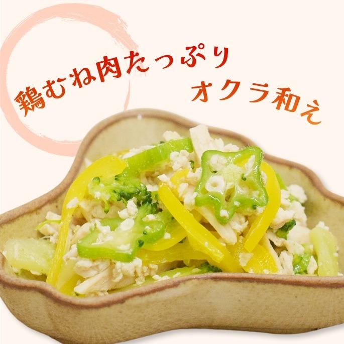 夏季限定 愛犬用手作りごはん 夏も元気に！愛犬スタミナ定食 ハウンドカム食堂 冷凍便 | 帝塚山ハウンドカム | 06