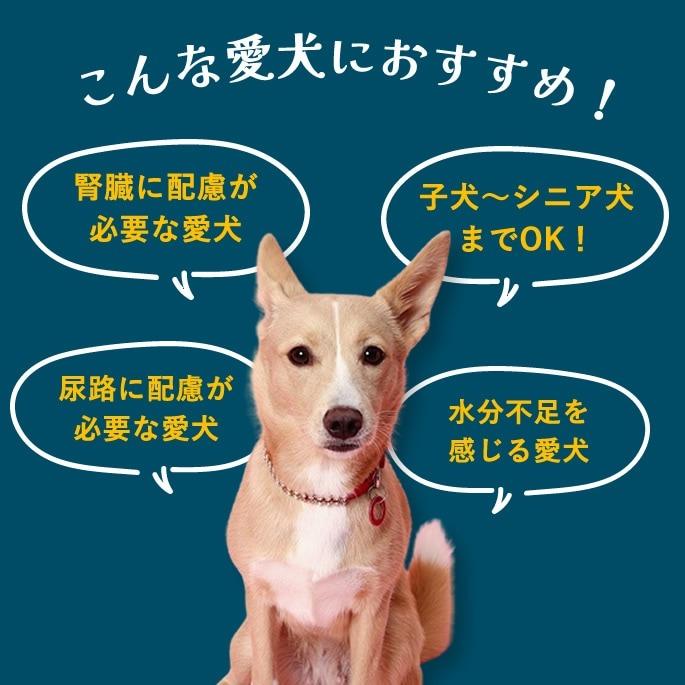 夏季限定 愛犬用手作りごはん 夏も元気に！愛犬スタミナ定食 ハウンドカム食堂 冷凍便 | 帝塚山ハウンドカム | 08