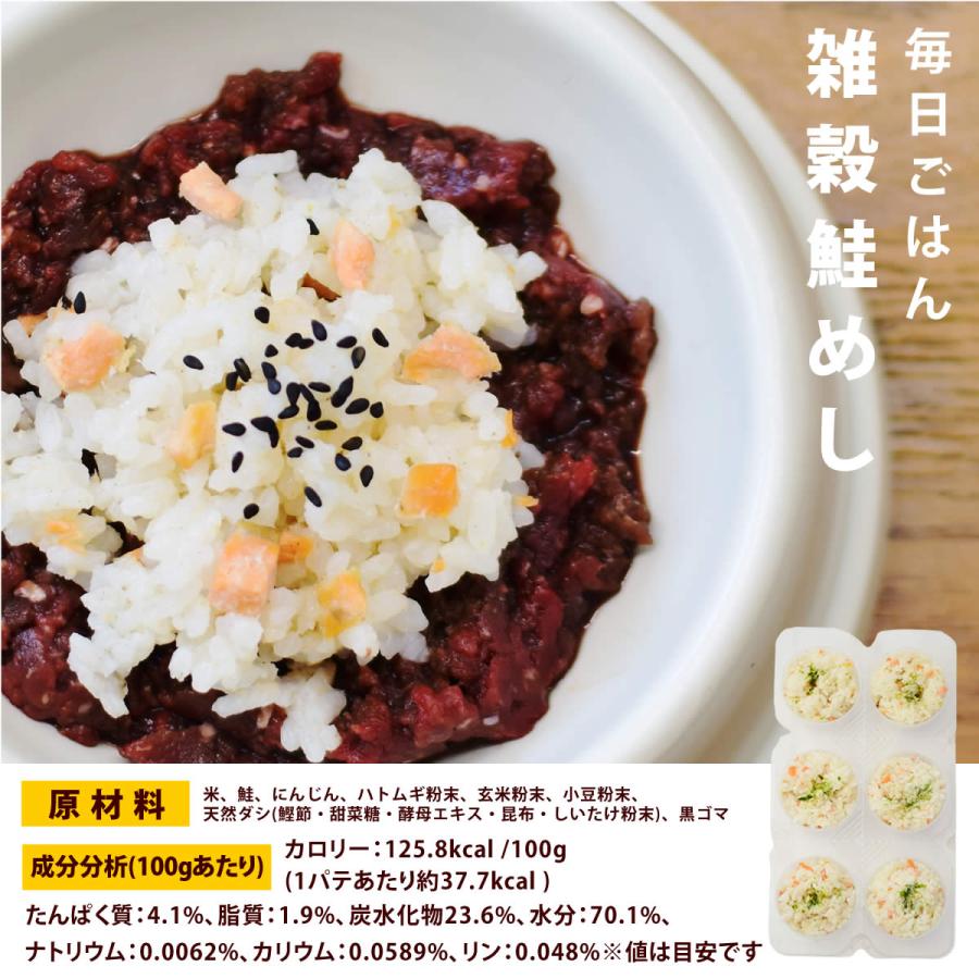 愛犬愛猫用 毎日シリーズ 美味しいごはんと野菜とスープの8種セットハウンドカム食堂 冷凍便 | 帝塚山ハウンドカム | 10