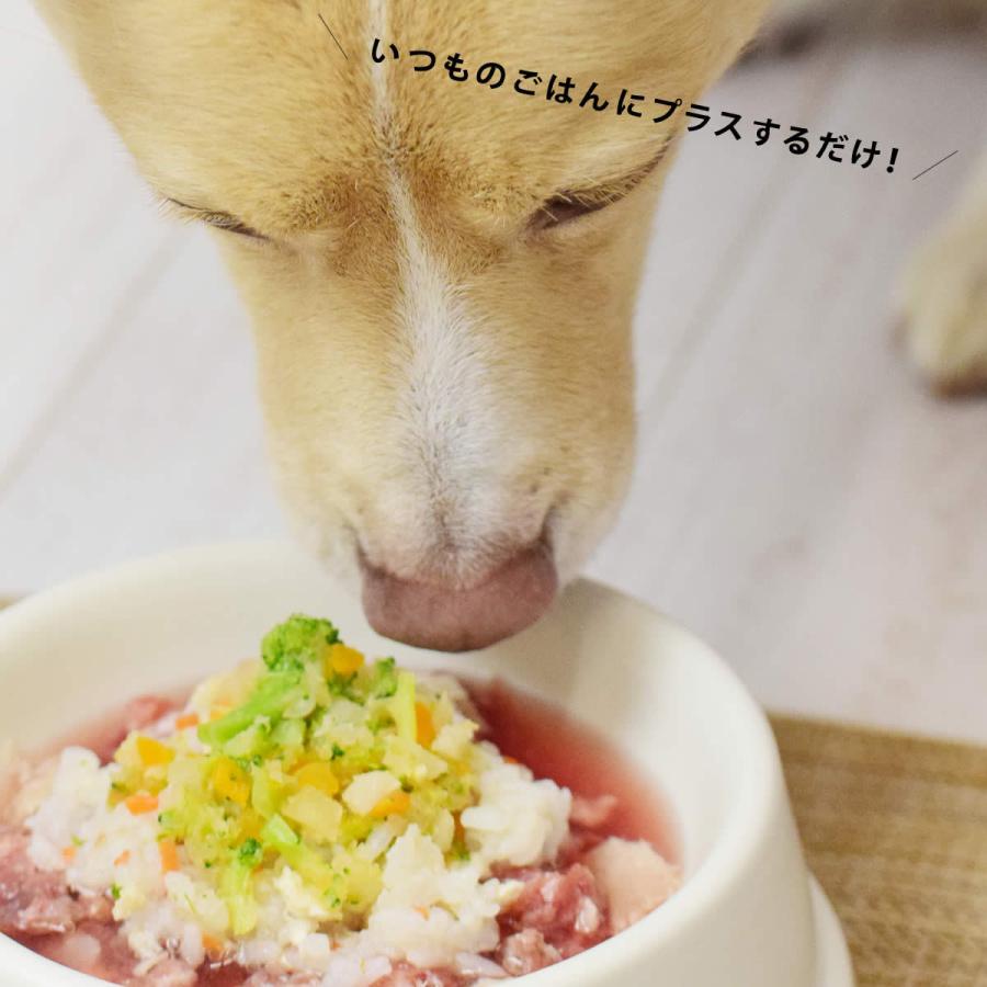 愛犬愛猫用 毎日シリーズ 美味しいごはんと野菜とスープの8種セットハウンドカム食堂 冷凍便 | 帝塚山ハウンドカム | 02