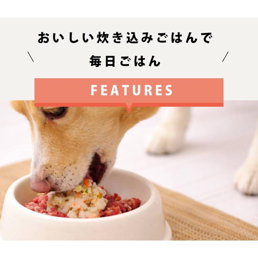 愛犬用 毎日ごはん 鶏と鮭の2種セット 雑穀鶏炊き込み・雑穀鮭めし 各1袋(約30g×12パテ)ハウンドカム食堂 冷凍便 | 帝塚山ハウンドカム | 01