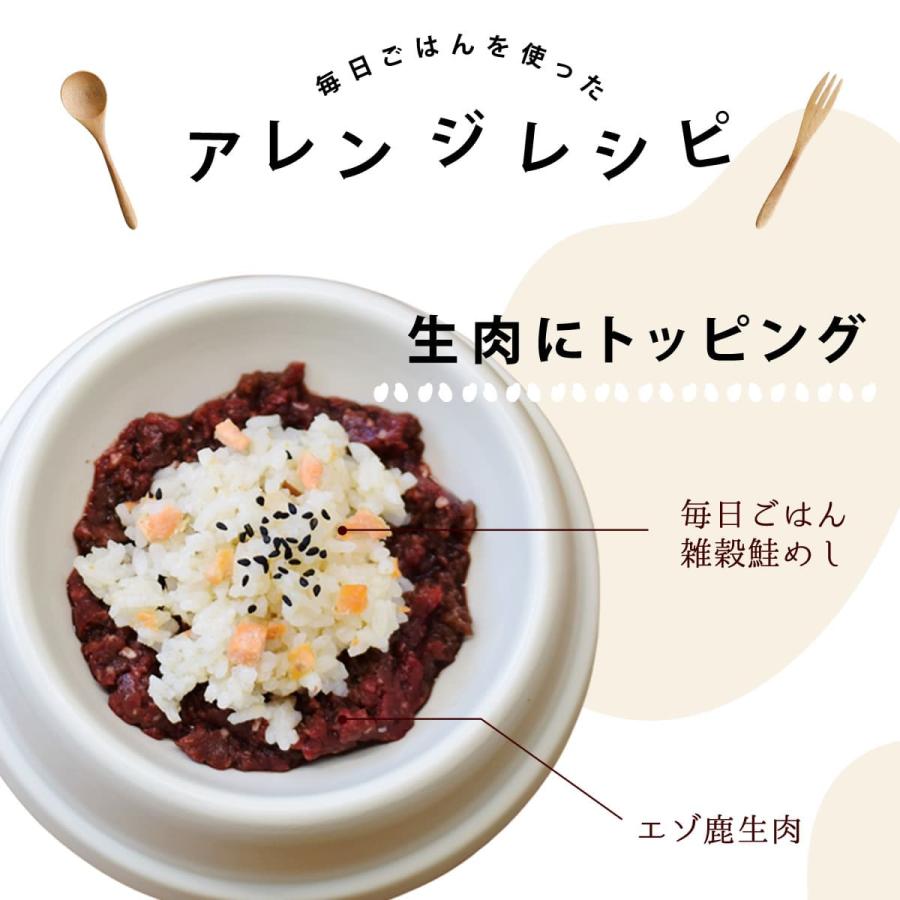 愛犬用 毎日ごはん 鶏と鮭の2種セット 雑穀鶏炊き込み・雑穀鮭めし 各1袋(約30g×12パテ)ハウンドカム食堂 冷凍便 | 帝塚山ハウンドカム | 06