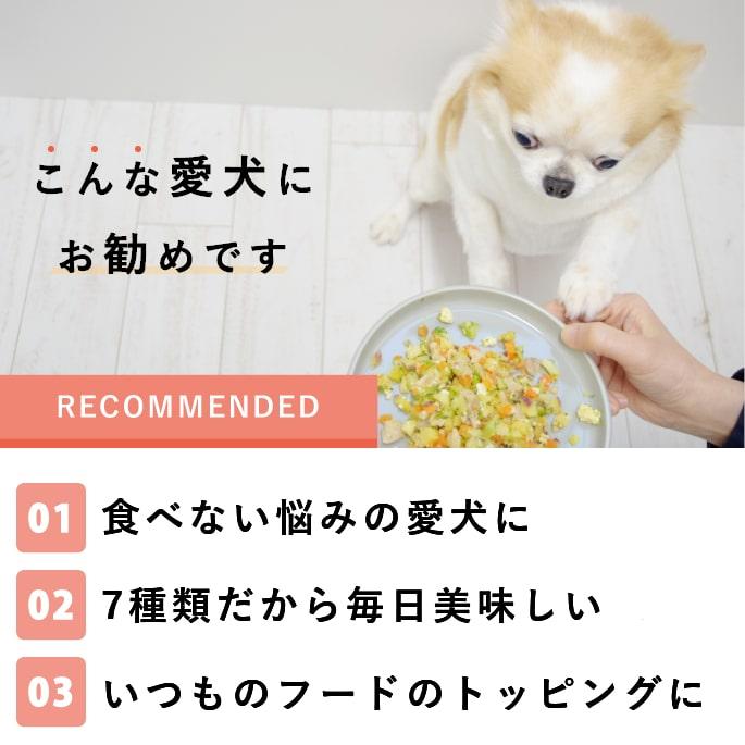 愛犬愛猫用 手作り食 ドッグフード ウェットフード チキン 小型犬 中型犬 大型犬 食いつき抜群7食セット 冷凍便 | 帝塚山ハウンドカム | 16