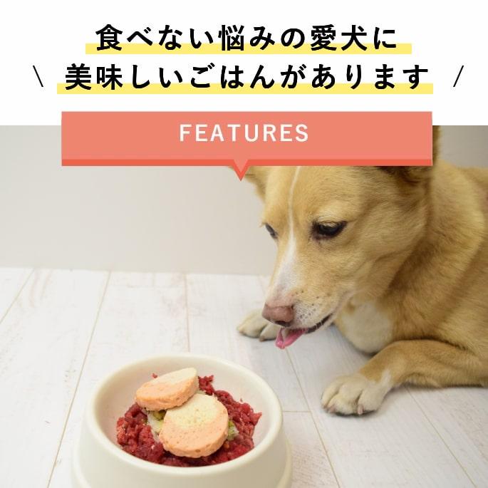 愛犬愛猫用 手作り食 ドッグフード ウェットフード チキン 小型犬 中型犬 大型犬 食いつき抜群7食セット 冷凍便 | 帝塚山ハウンドカム | 01
