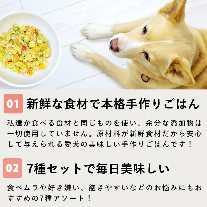 愛犬愛猫用 手作り食 ドッグフード ウェットフード チキン 小型犬 中型犬 大型犬 食いつき抜群7食セット 冷凍便 | 帝塚山ハウンドカム | 02