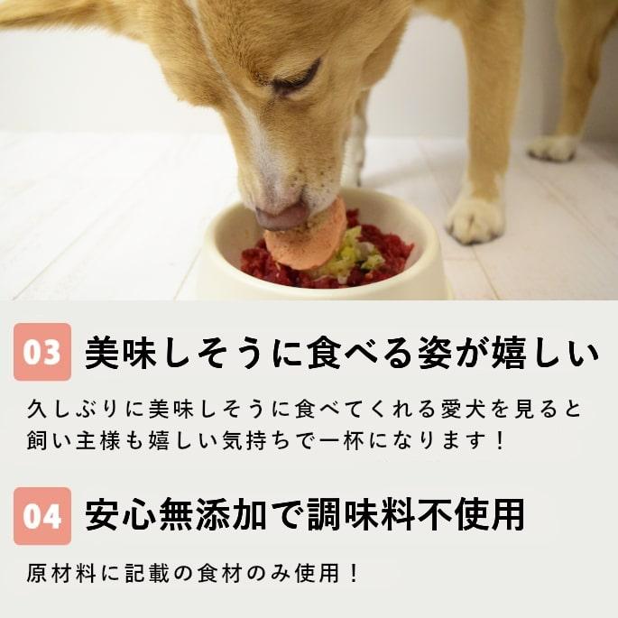 愛犬愛猫用 手作り食 ドッグフード ウェットフード チキン 小型犬 中型犬 大型犬 食いつき抜群7食セット 冷凍便 | 帝塚山ハウンドカム | 03