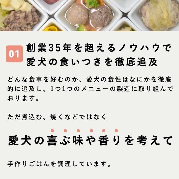 愛犬愛猫用 手作り食 ドッグフード ウェットフード チキン 小型犬 中型犬 大型犬 食いつき抜群7食セット 冷凍便 | 帝塚山ハウンドカム | 06