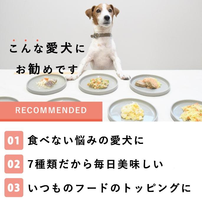 愛犬愛猫用 手作りごはん ドッグフード ウェットフード 餌 ご飯 チキン 小型犬 中型犬 大型犬 肉と魚の美味しい7食セット | 帝塚山ハウンドカム | 16