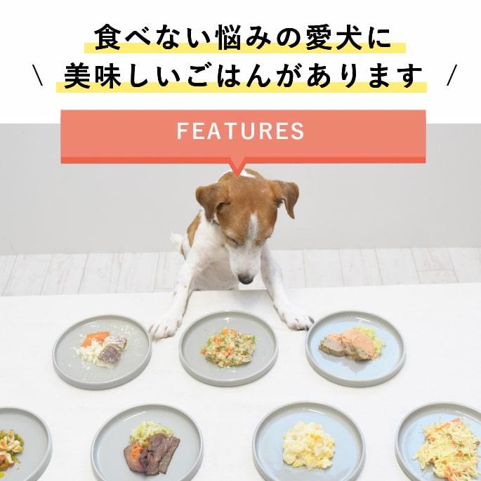 愛犬愛猫用 手作りごはん ドッグフード ウェットフード 餌 ご飯 チキン 小型犬 中型犬 大型犬 肉と魚の美味しい7食セット | 帝塚山ハウンドカム | 01