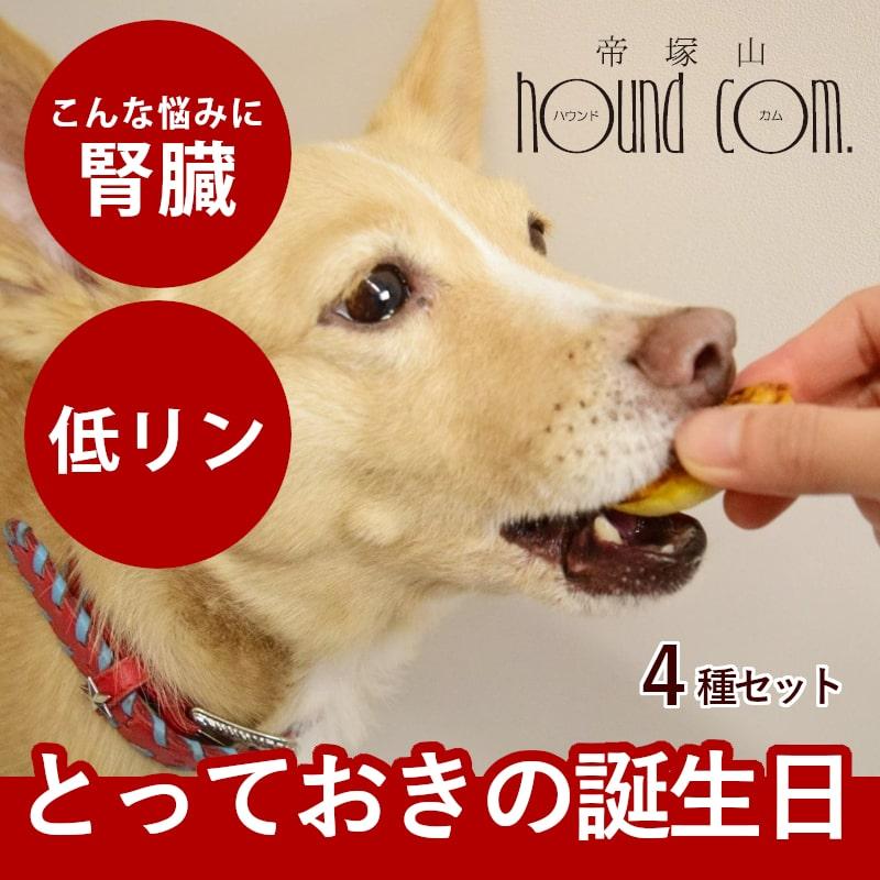 愛犬用 犬 おやつ 誕生日 ハッピーバースデー プチスイーツセット 手作りスイーツとフレッシュチーズ 4種（計7個）ハウンドカム食堂 ※お名前入れ不可 冷凍便 | 帝塚山ハウンドカム