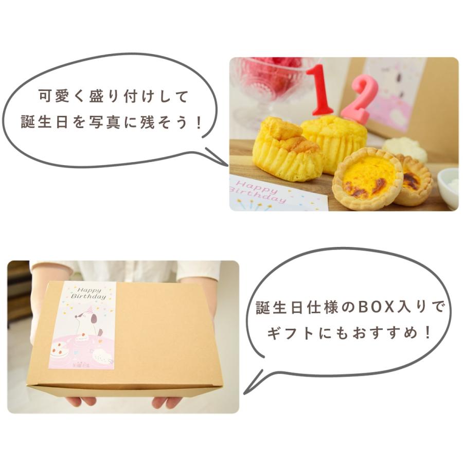愛犬用 犬 おやつ 誕生日 ハッピーバースデー プチスイーツセット 手作りスイーツとフレッシュチーズ 4種（計7個）ハウンドカム食堂 ※お名前入れ不可 冷凍便 | 帝塚山ハウンドカム | 07