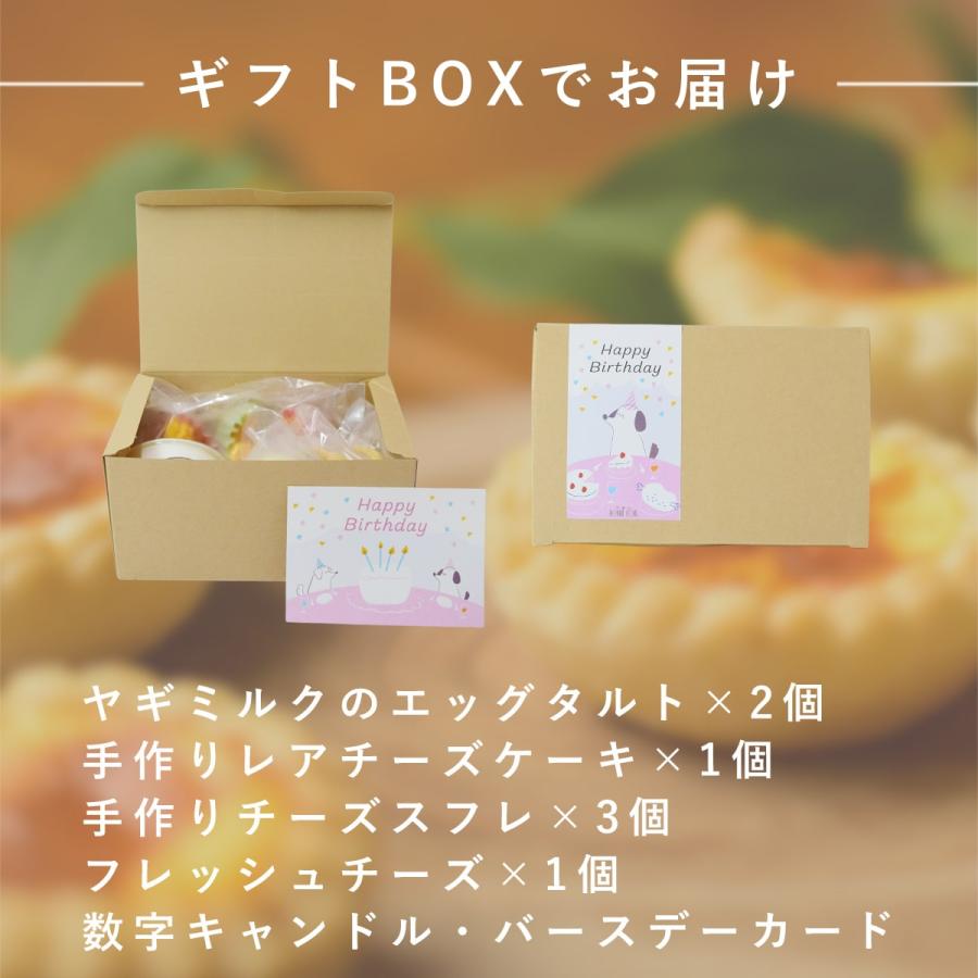 愛犬用 犬 おやつ 誕生日 ハッピーバースデー プチスイーツセット 手作りスイーツとフレッシュチーズ 4種（計7個）ハウンドカム食堂 ※お名前入れ不可 冷凍便 | 帝塚山ハウンドカム | 08