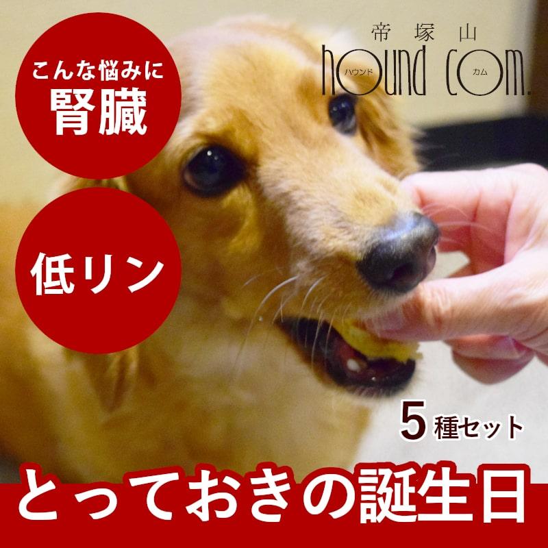 犬 おやつ  誕生日 ハッピーバースデー スイーツたっぷりセット 手作りスイーツとフレッシュチーズ 5種（計10個）ハウンドカム食堂 ※お名前入れ不可 冷凍便 | 帝塚山ハウンドカム